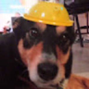 Meet your Posher, Joseph